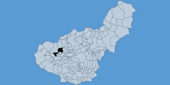Pinos Puente